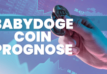 Baby Doge Coin Prognose