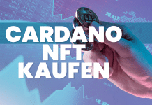 Cardano NFT