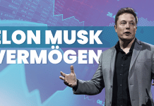 Elon Musk Vermögen